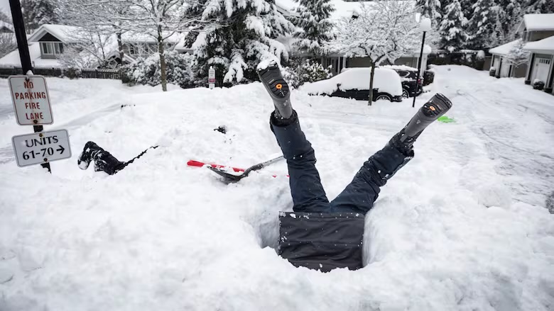 Template meme Snow meme