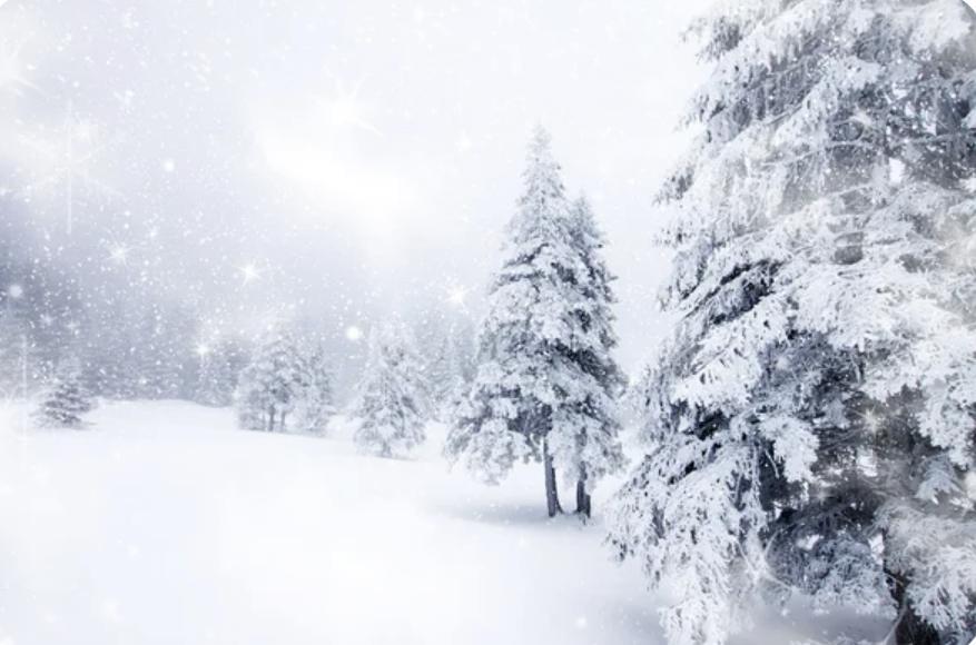 Plantilla de meme Snowy forest