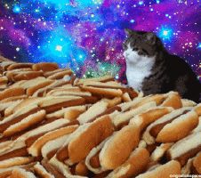 Template meme space cats and hot dogs