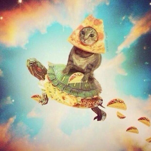 Plantilla de meme Space Pizza Cat Turtle Tacos