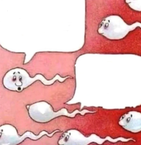 Template meme Sperm conversation