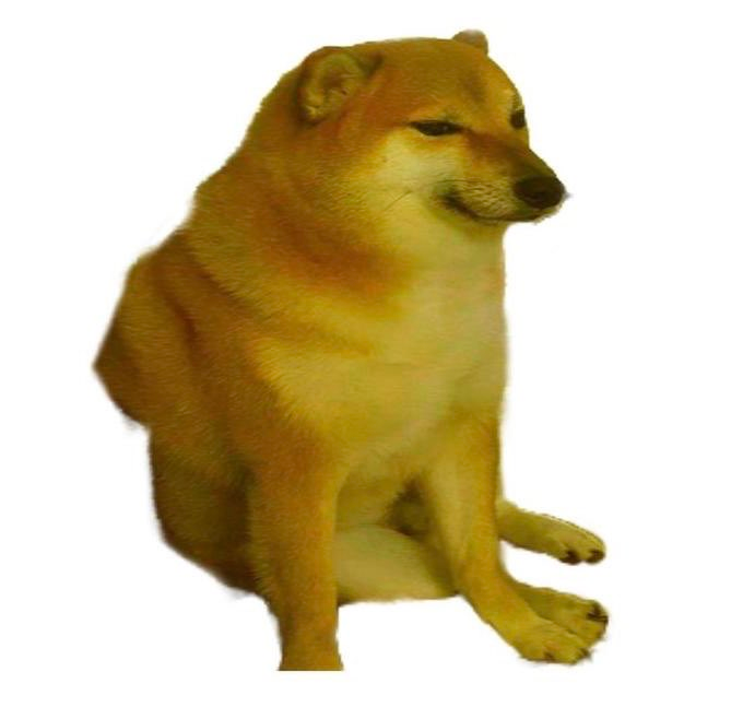 Plantilla de meme squashed dog