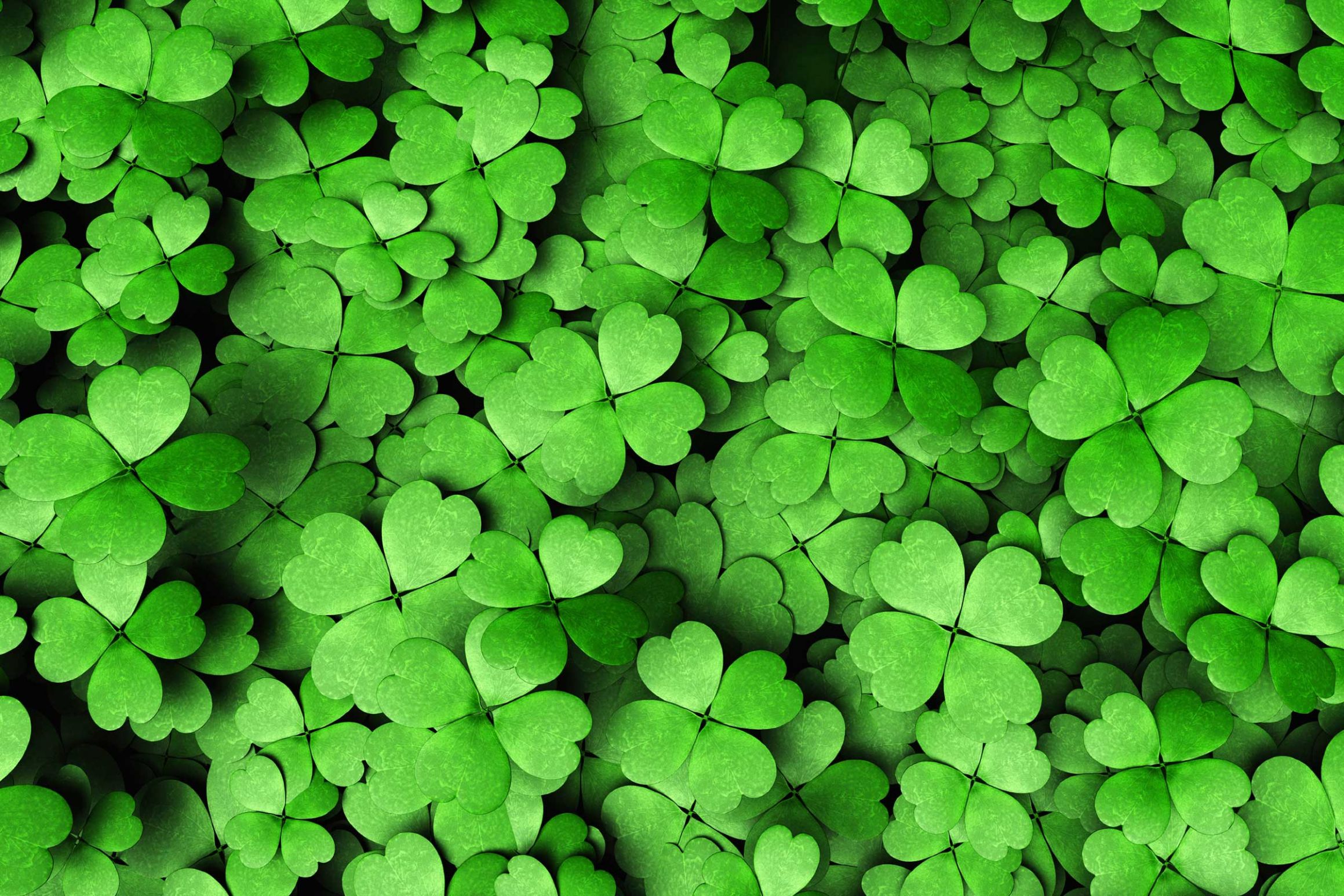 Plantilla de meme St Patricks Day