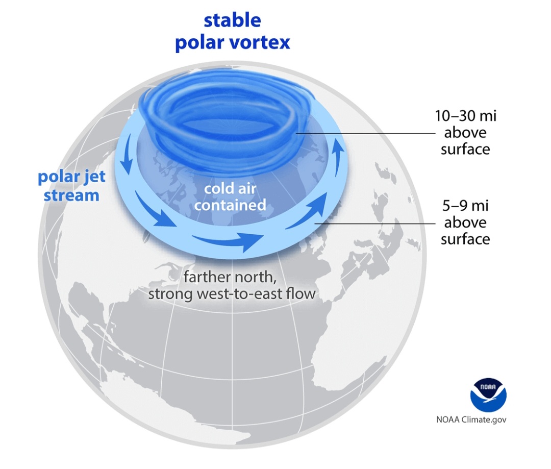 Stable Polar Vortex meme template