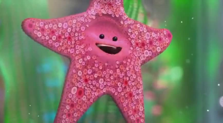 Plantilla de meme Starfish