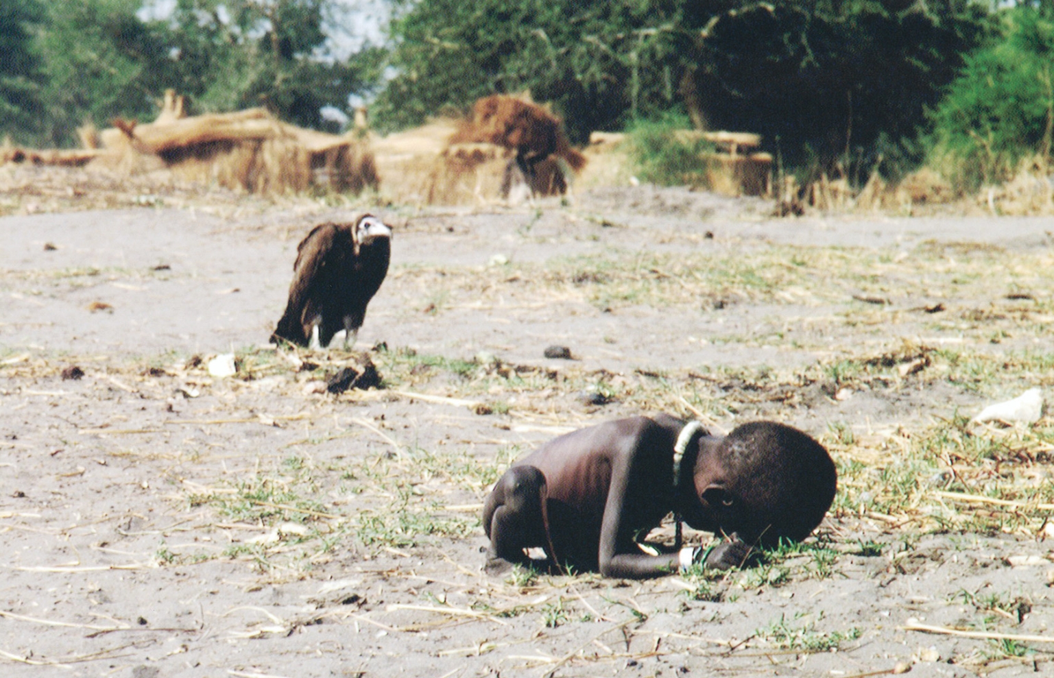 Plantilla de meme starving child and vulture