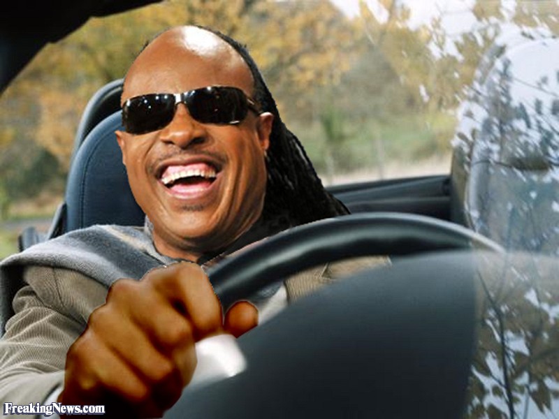 Plantilla de meme Stevie Wonder Driving