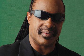 Plantilla de meme Stevie Wonder-I Got U
