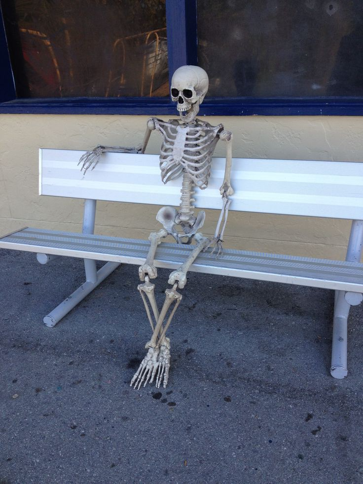 Plantilla de meme Still Waiting to Enroll at Darulhuffaz
