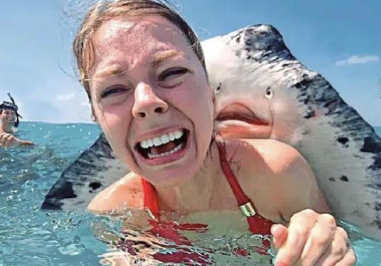Plantilla de meme Stingray Attack