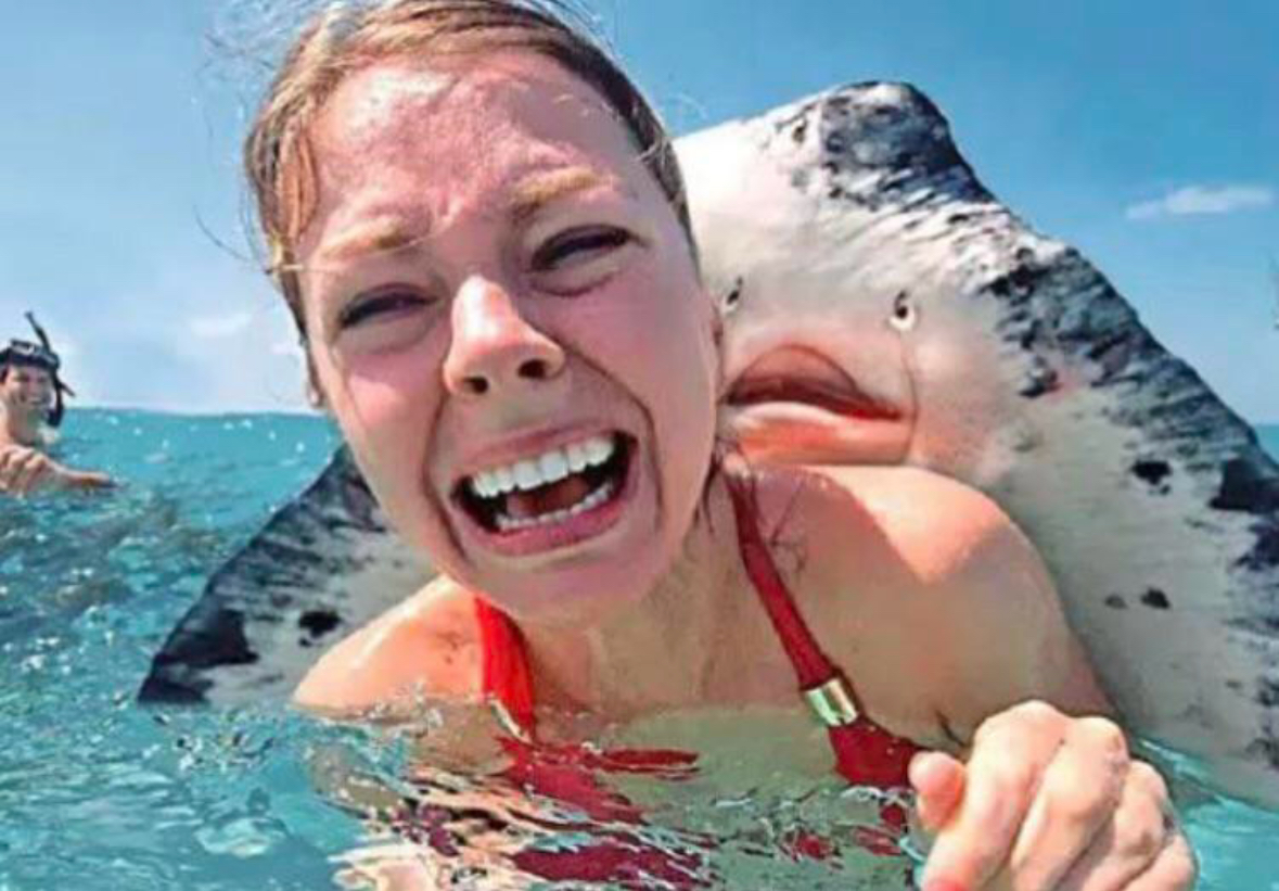 Plantilla de meme Stingray on woman’s back