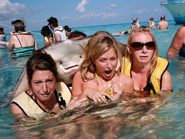 Plantilla de meme Stingray Photobomb