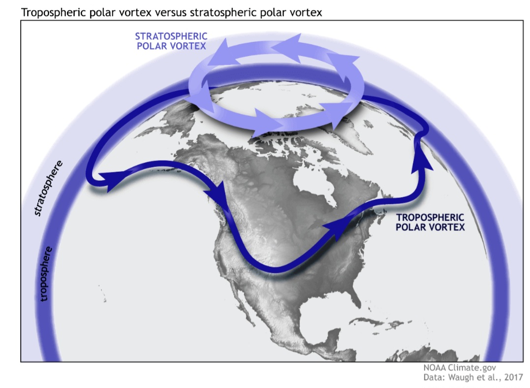 Stratospheric Polar Vortex meme template