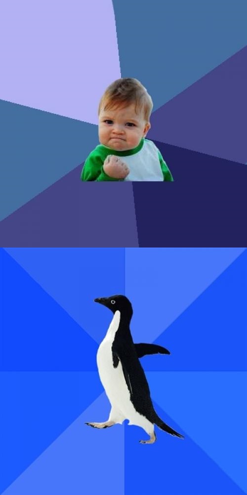 Template meme Success Kid socially awkward penguin combined