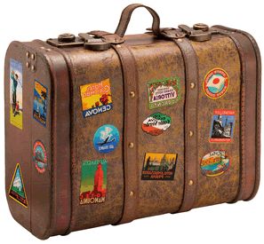 Plantilla de meme suitcase