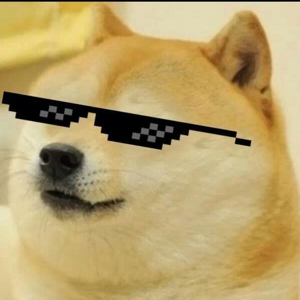 Plantilla de meme Sunglass Doge