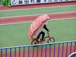 Plantilla de meme Sushi bike 
