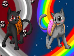 Template meme TAC NAYN VS NYAN CAT