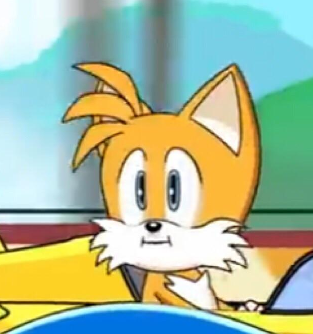 Template meme Tails hold up