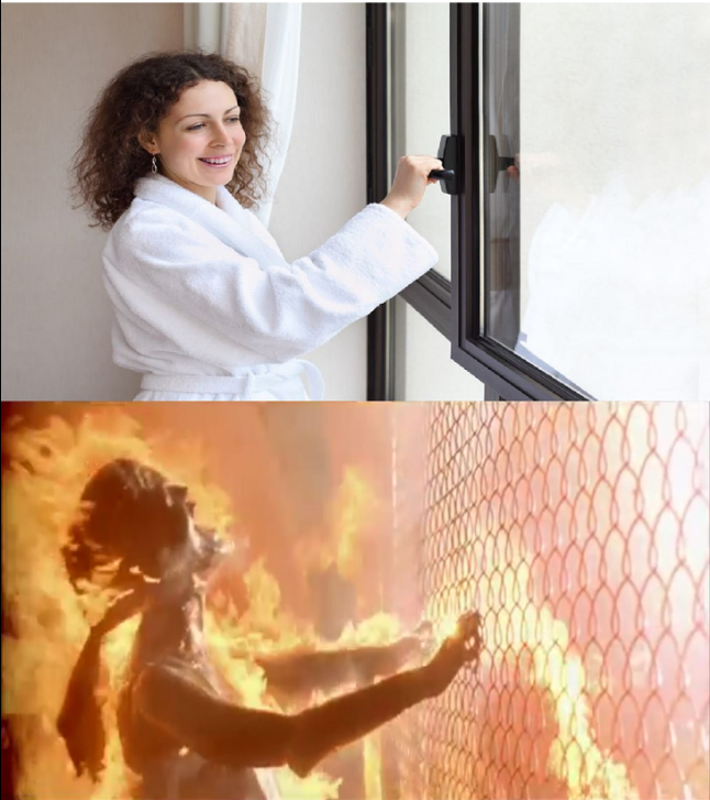 Plantilla de meme Terminator Heat Wave