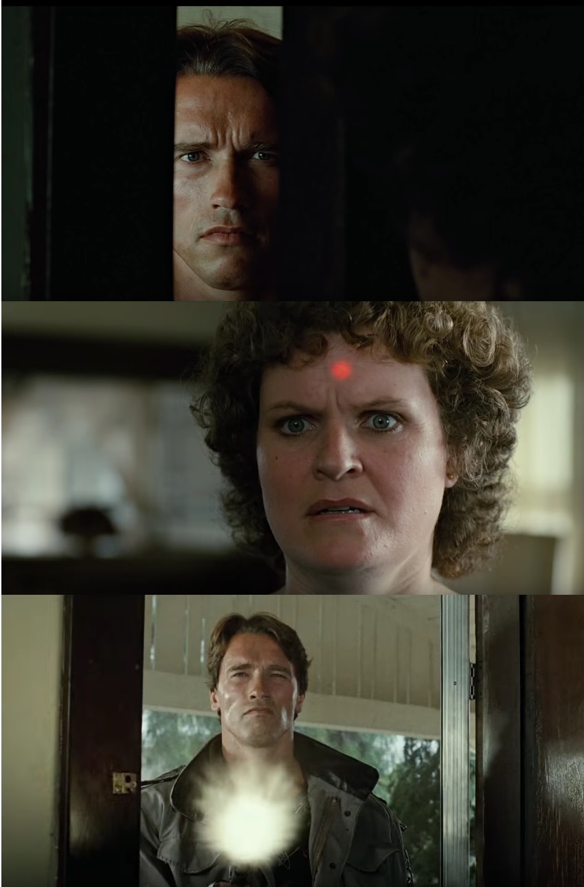 Template meme Terminator kill Sarah Connor