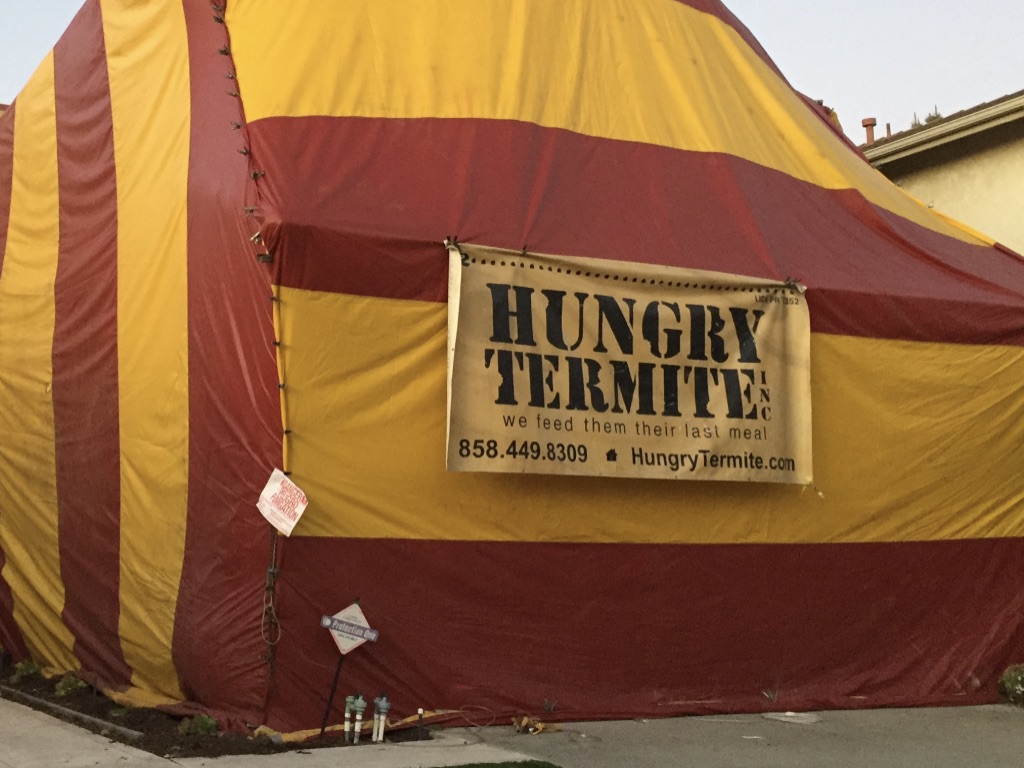 Plantilla de meme Termite Last Meal