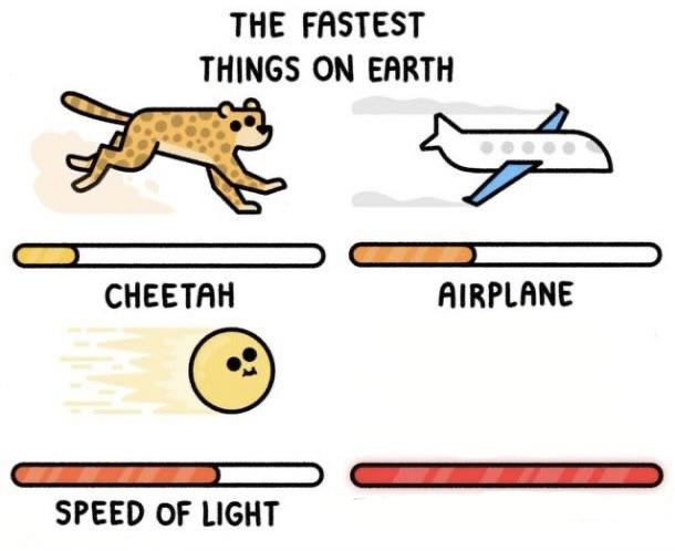 Template meme The fastest things on earth: cheetah, airplane, speed of light,