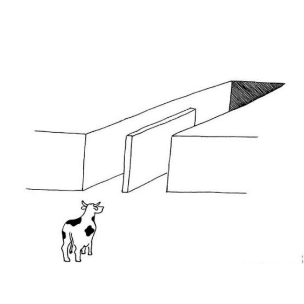 Template meme The illusion of free choice blank