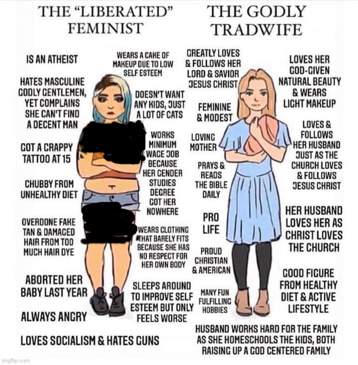 Plantilla de meme The liberated feminist vs. the Godly tradwife redacted