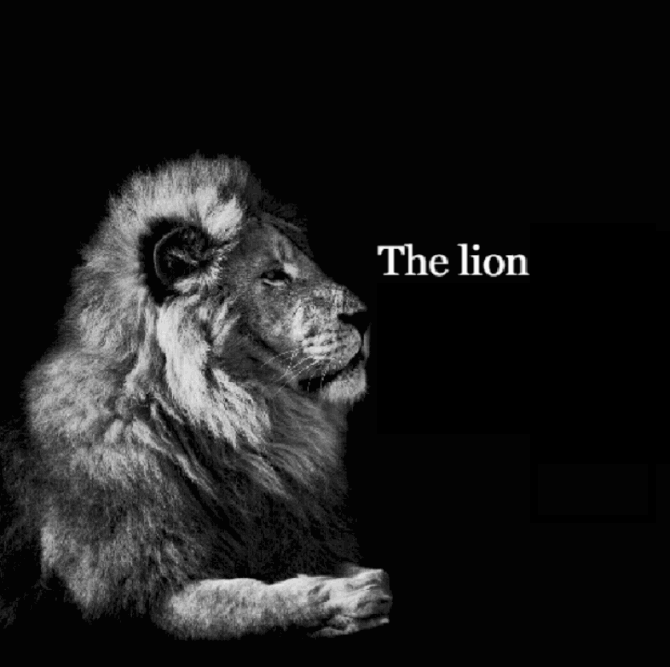Template meme The lion tiktok template