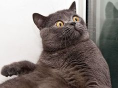 Plantilla de meme The moment when you realise.... Exams are in a month