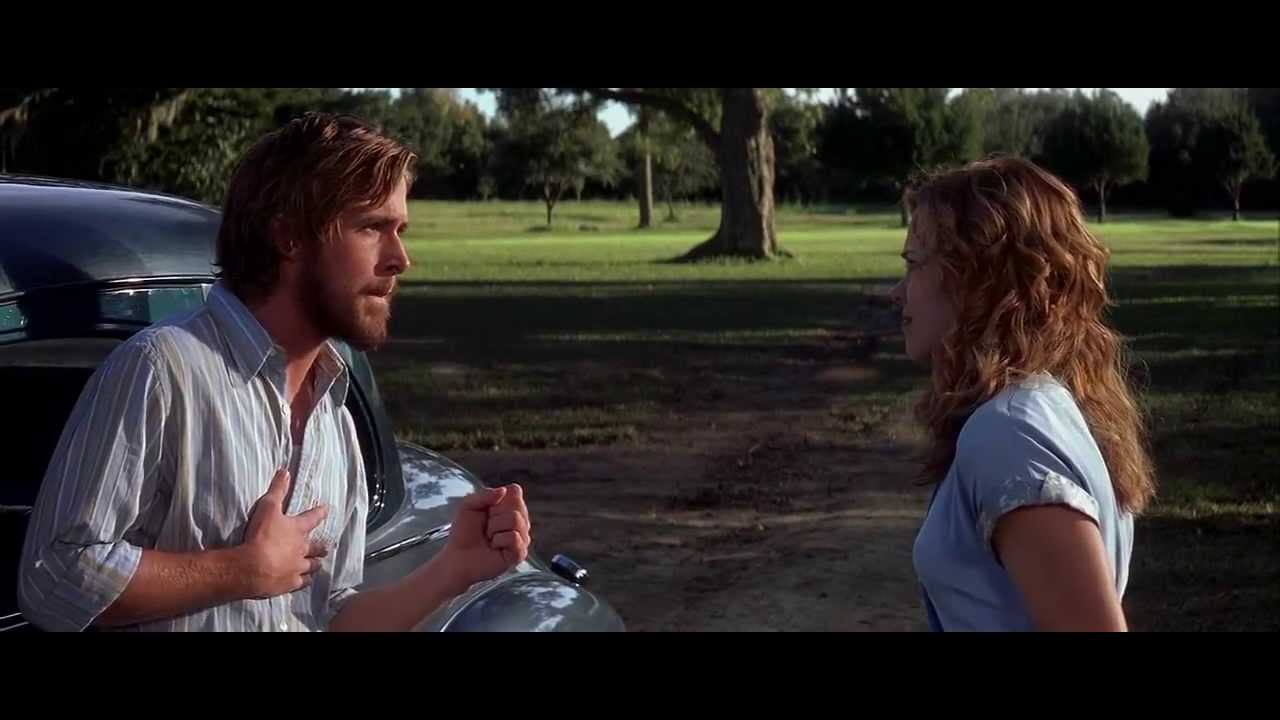 Plantilla de meme The Notebook - What Do You Want