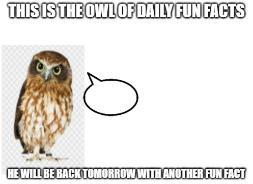 Plantilla de meme the owl of fun facts