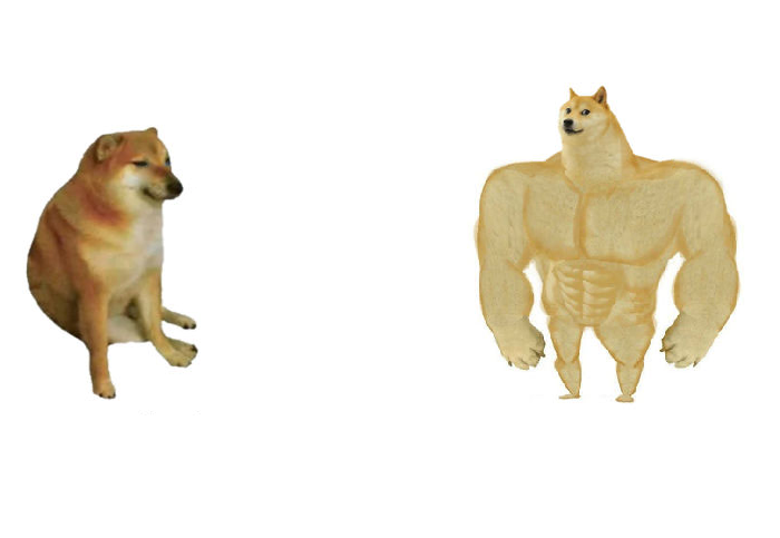 Template meme then vs now dog meme
