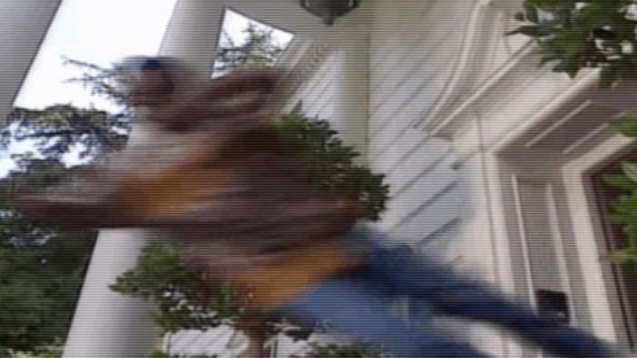 Template meme Throwing Out Jazz (Fresh Prince of Bel-Air)