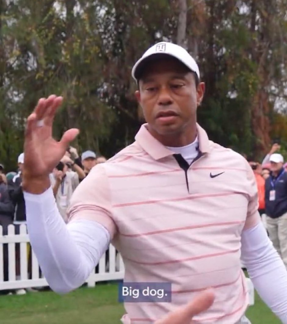 Plantilla de meme Tiger Woods - Big Dog
