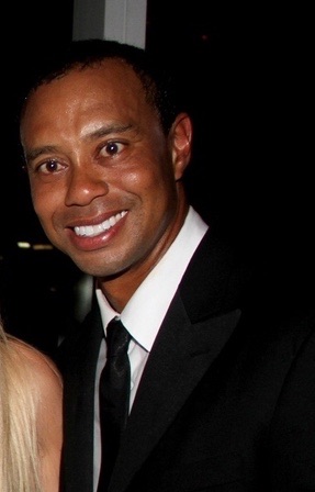 Plantilla de meme Tiger Woods in Pain