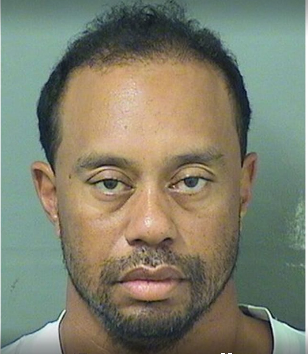 Plantilla de meme Tiger Woods Mug Shot 