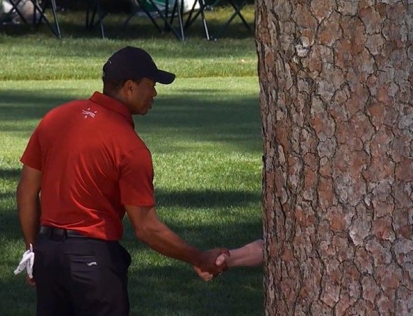 Plantilla de meme Tiger Woods Tree Shake