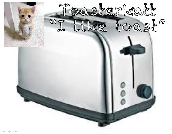 Plantilla de meme Toasterkatt toast template
