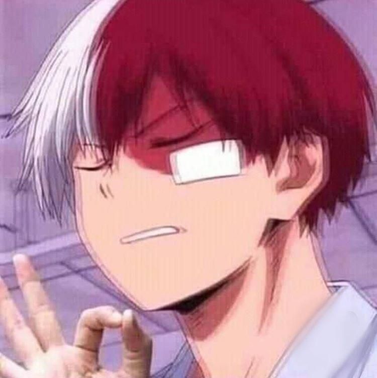 Plantilla de meme Todoroki