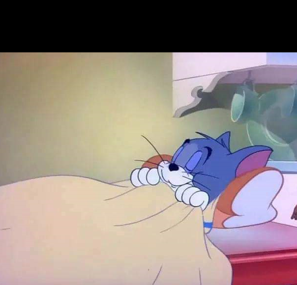 Plantilla de meme Tom sleeping