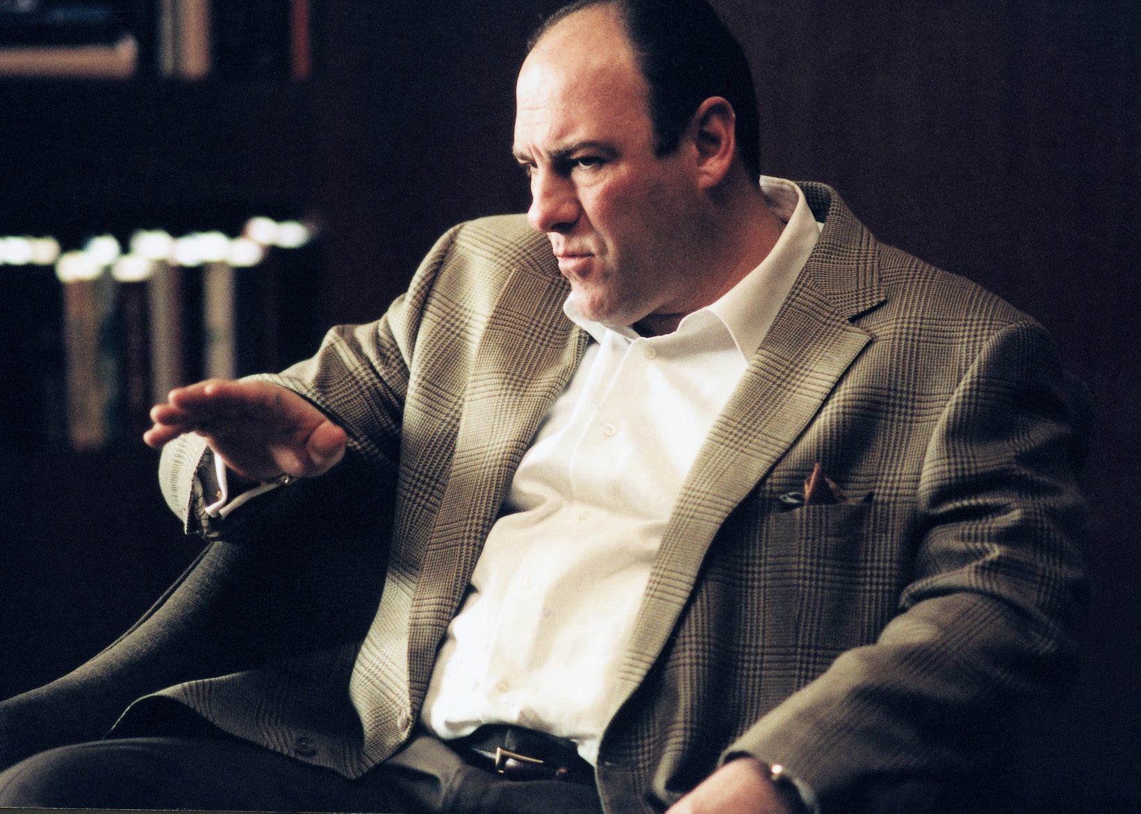 Template meme Tony Soprano