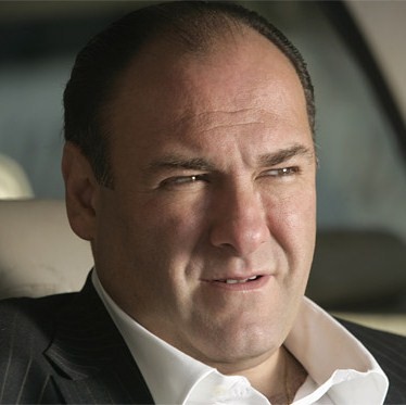 Template meme tony soprano marone