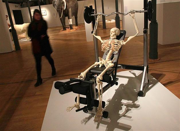 Plantilla de meme Too Much Exercise