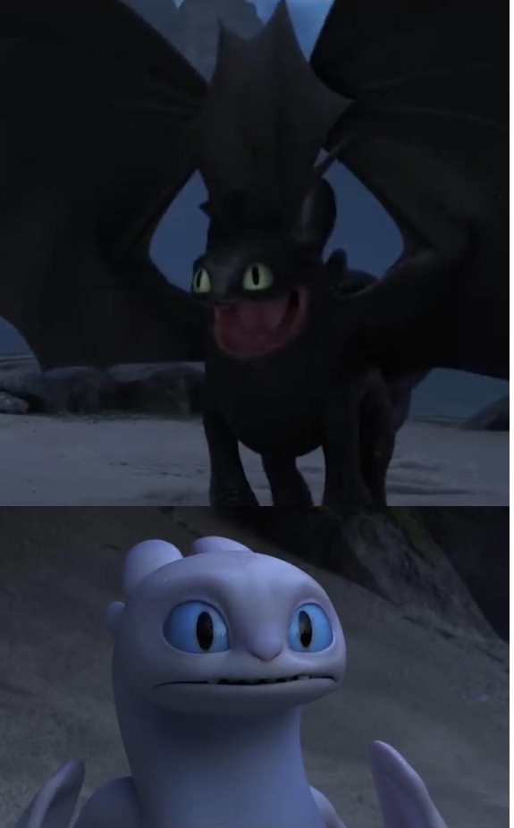 Plantilla de meme Toothless and Lightfury meme