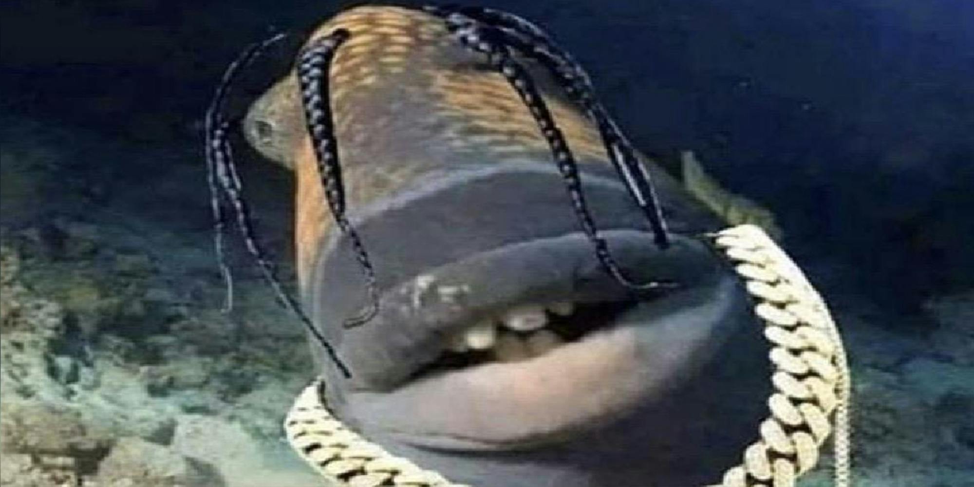 Plantilla de meme travis Scott fish