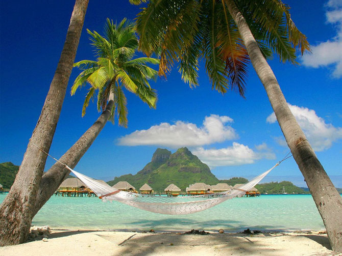 Plantilla de meme Tropical Paradise