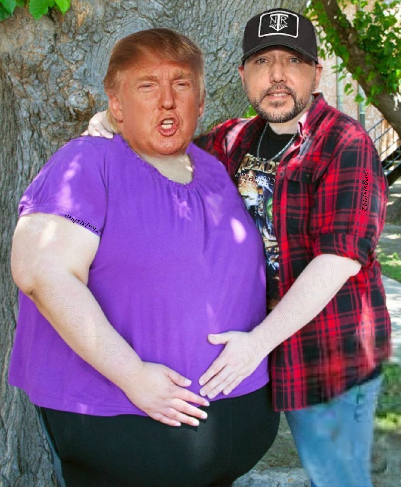 Plantilla de meme trump