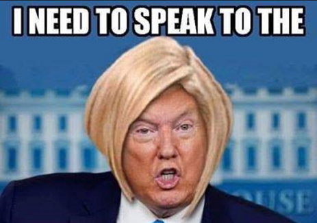Template meme Trump karen